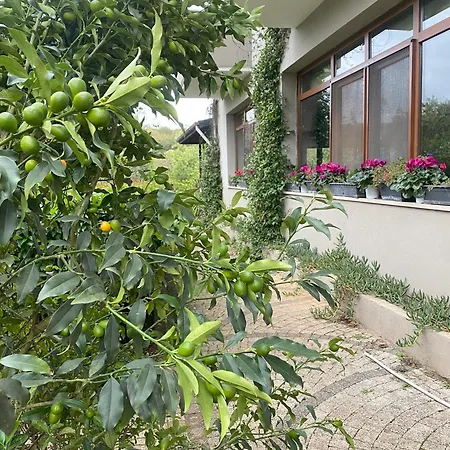 Diem Hotel