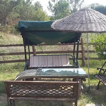 Отель Diem *